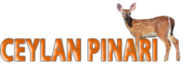 CEYLAN PINARI AİLE YÜZME HAVUZLARI & AT ÇİFTLİĞİ & RESTAURANT Pamukkale Kamping & Pamukkale Karavan